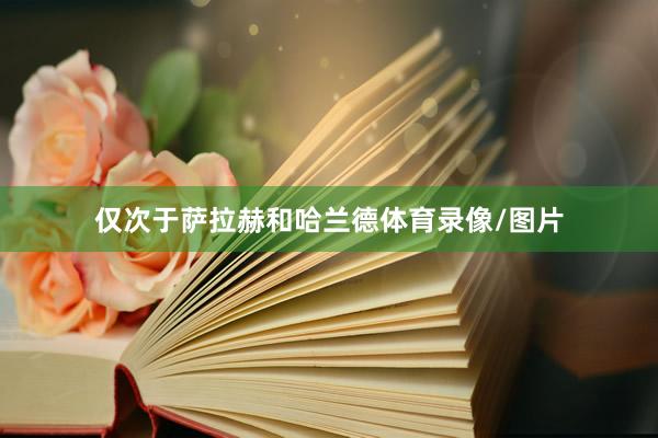 仅次于萨拉赫和哈兰德体育录像/图片
