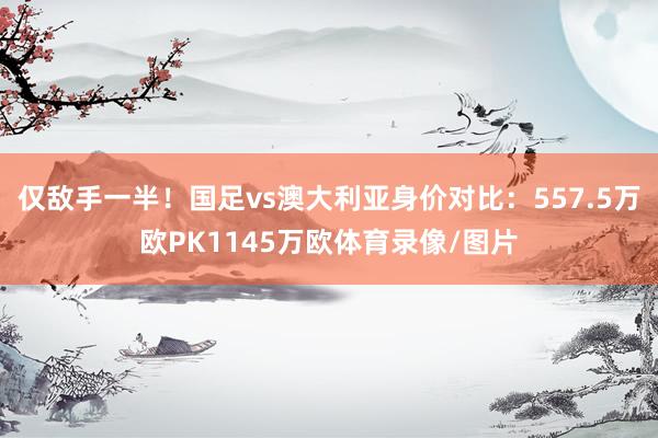 仅敌手一半！国足vs澳大利亚身价对比：557.5万欧PK1145万欧体育录像/图片