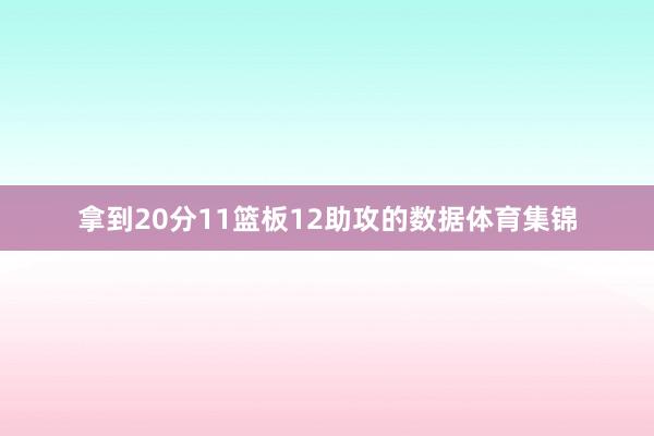 拿到20分11篮板12助攻的数据体育集锦