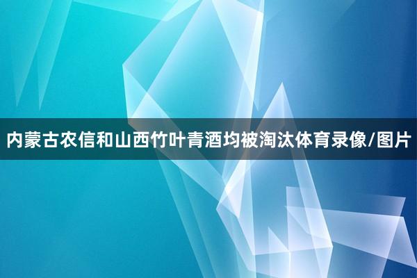 内蒙古农信和山西竹叶青酒均被淘汰体育录像/图片