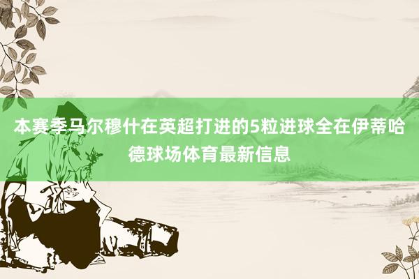 本赛季马尔穆什在英超打进的5粒进球全在伊蒂哈德球场体育最新信息