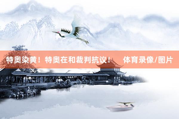 特奥染黄！特奥在和裁判抗议！    体育录像/图片