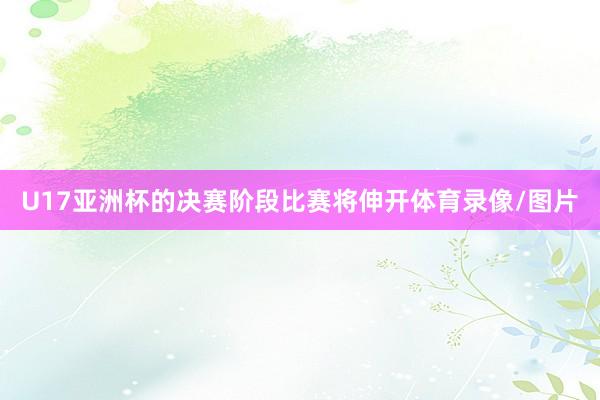 U17亚洲杯的决赛阶段比赛将伸开体育录像/图片