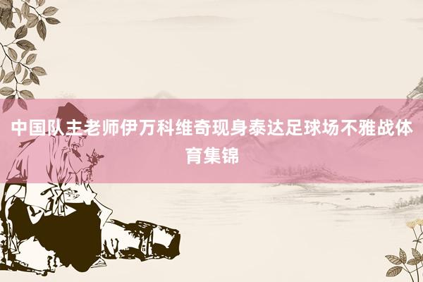 中国队主老师伊万科维奇现身泰达足球场不雅战体育集锦