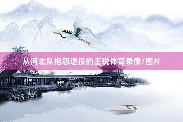 从河北队抱怨退役的王锐体育录像/图片
