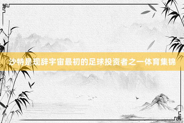 沙特是现辞宇宙最初的足球投资者之一体育集锦