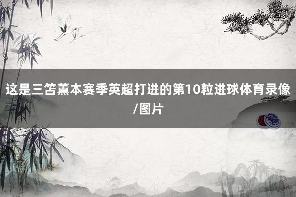 这是三笘薫本赛季英超打进的第10粒进球体育录像/图片