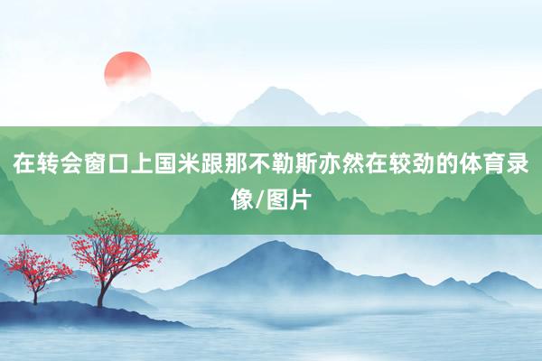 在转会窗口上国米跟那不勒斯亦然在较劲的体育录像/图片