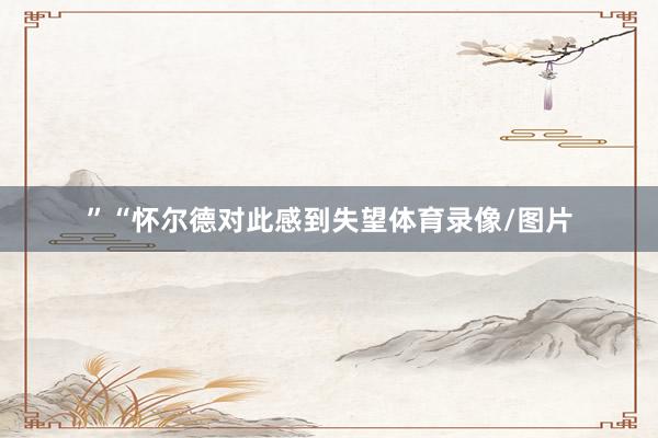 ”“怀尔德对此感到失望体育录像/图片