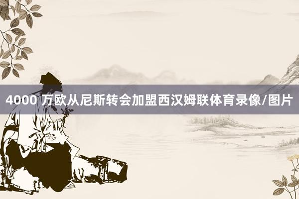 4000 万欧从尼斯转会加盟西汉姆联体育录像/图片