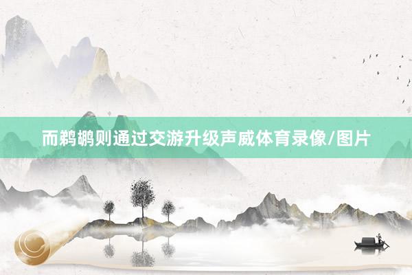 而鹈鹕则通过交游升级声威体育录像/图片