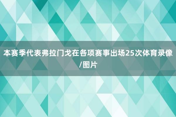 本赛季代表弗拉门戈在各项赛事出场25次体育录像/图片