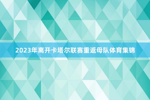 2023年离开卡塔尔联赛重返母队体育集锦