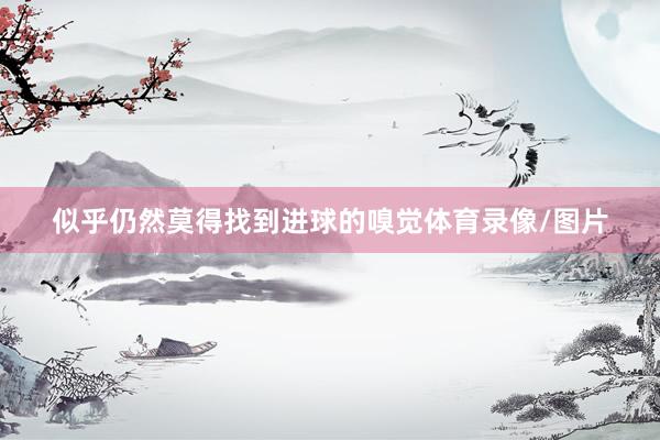 似乎仍然莫得找到进球的嗅觉体育录像/图片