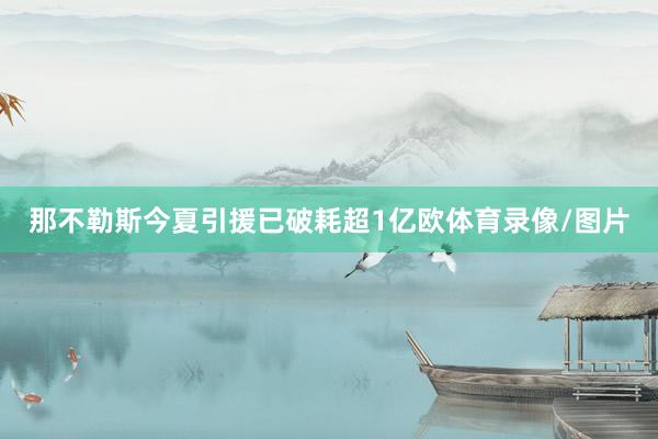 那不勒斯今夏引援已破耗超1亿欧体育录像/图片