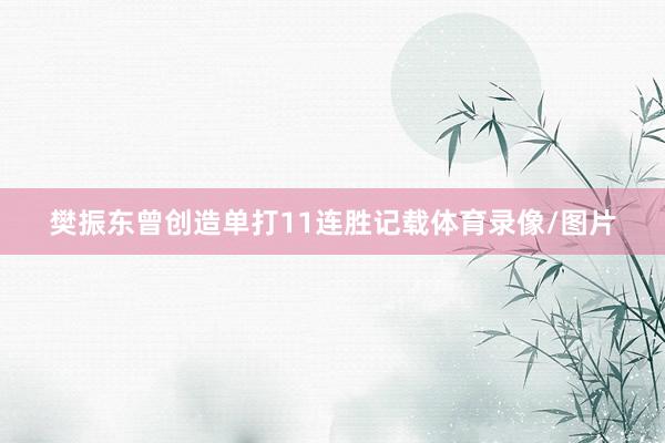 樊振东曾创造单打11连胜记载体育录像/图片