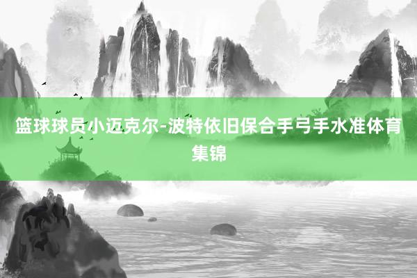 篮球球员小迈克尔-波特依旧保合手弓手水准体育集锦