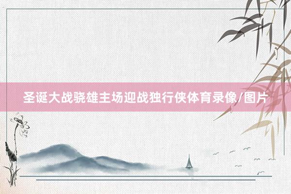 圣诞大战骁雄主场迎战独行侠体育录像/图片