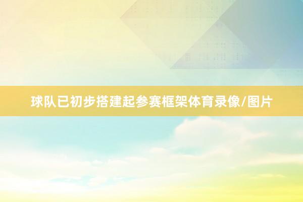 球队已初步搭建起参赛框架体育录像/图片