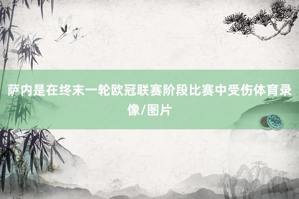 萨内是在终末一轮欧冠联赛阶段比赛中受伤体育录像/图片
