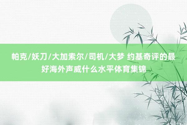 帕克/妖刀/大加索尔/司机/大梦 约基奇评的最好海外声威什么水平体育集锦