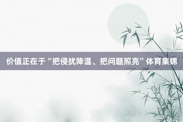 价值正在于“把侵扰降温、把问题照亮”体育集锦