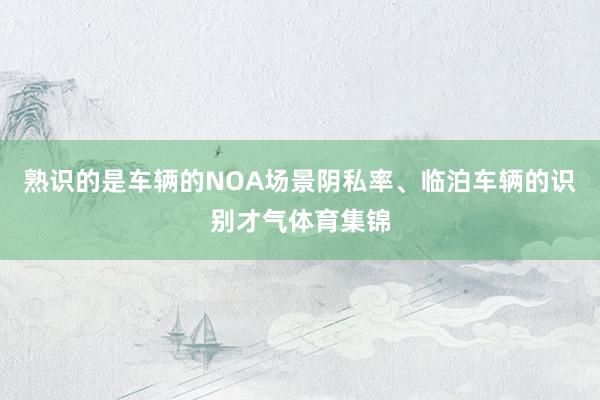 熟识的是车辆的NOA场景阴私率、临泊车辆的识别才气体育集锦
