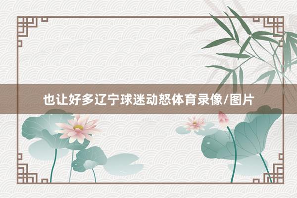 也让好多辽宁球迷动怒体育录像/图片