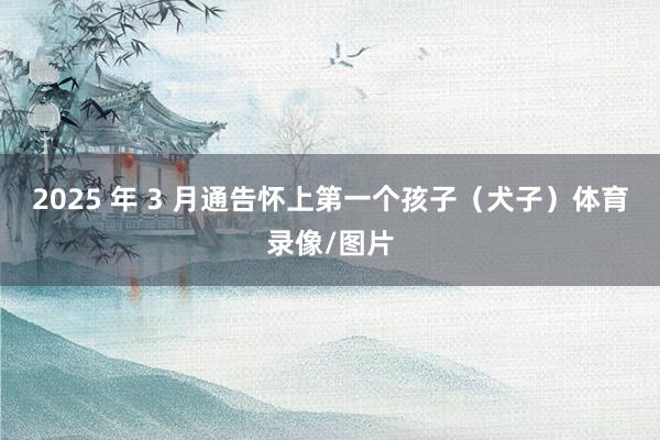 2025 年 3 月通告怀上第一个孩子（犬子）体育录像/图片