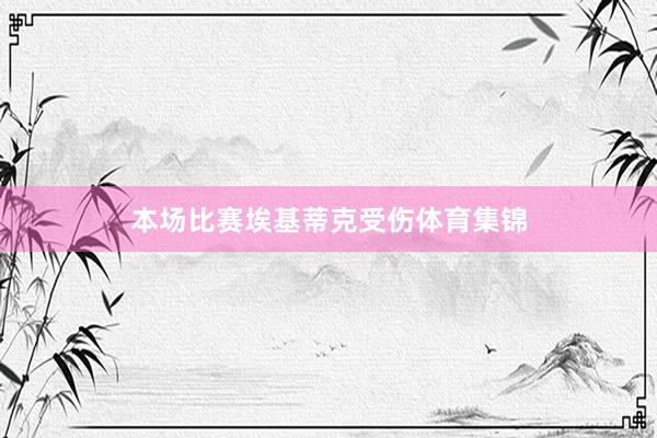 本场比赛埃基蒂克受伤体育集锦