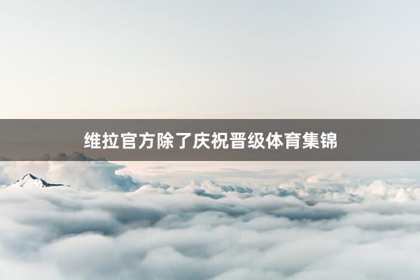 维拉官方除了庆祝晋级体育集锦